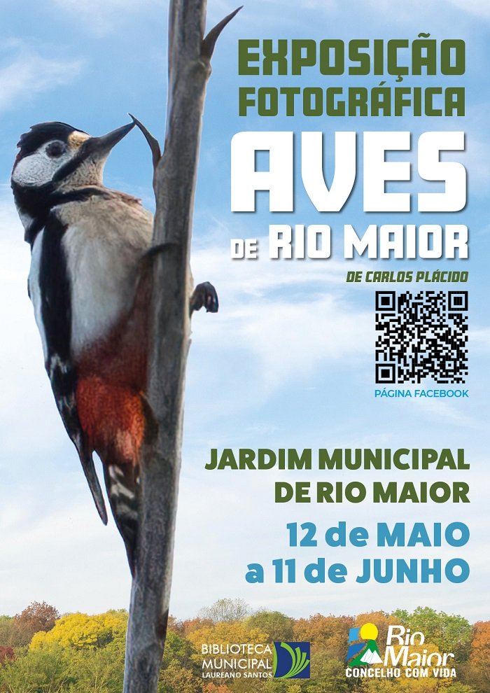 Aves de Rio Maior