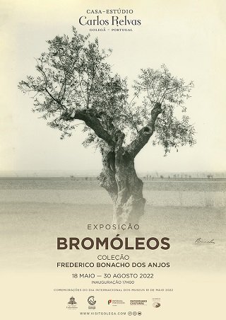 Exposição de Bromóleos - Coleção Frederico Bonacho dos Anjos